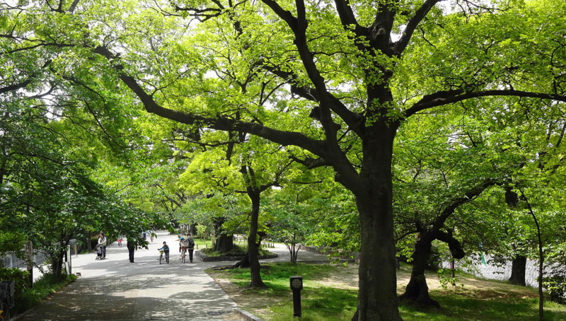 f:id:shioshiohida:20130503112131j:image