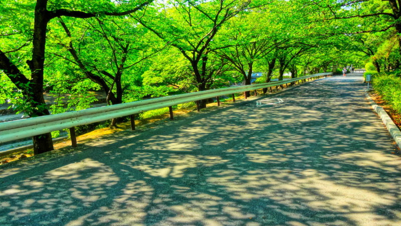 f:id:shioshiohida:20130812153055j:image f:id:shioshiohida:20130812153055j:image