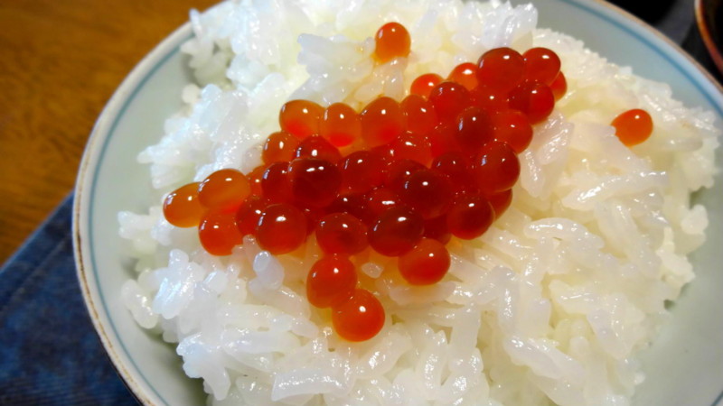 f:id:shioshiohida:20130813111851j:image