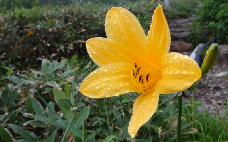 f:id:shioshiohida:20130817183927j:image f:id:shioshiohida:20130817183927j:image