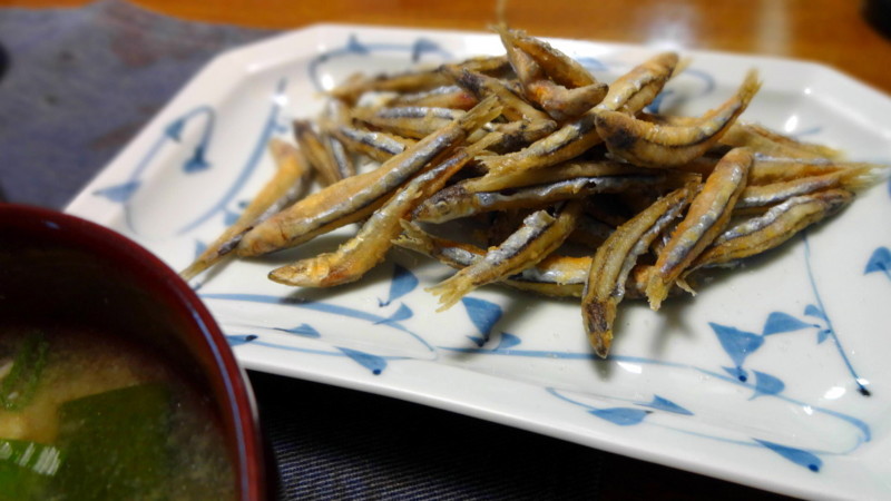 f:id:shioshiohida:20131002114851j:image f:id:shioshiohida:20131002114851j:image