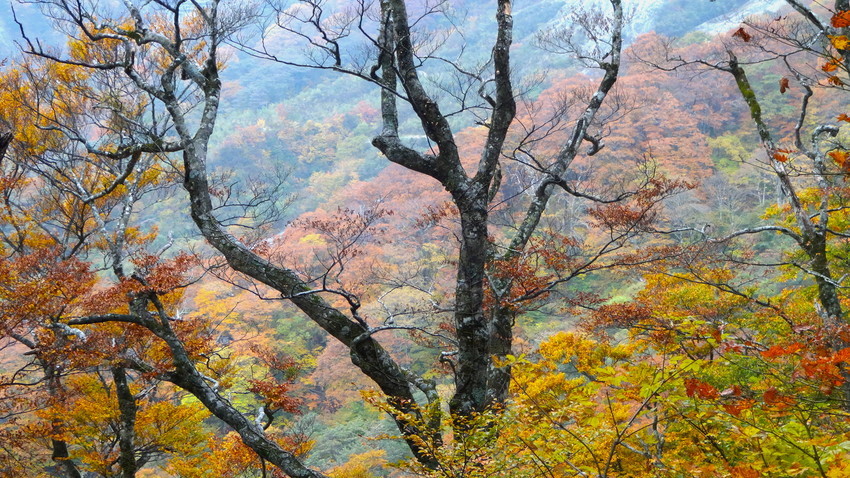 f:id:shioshiohida:20131030121833j:plain