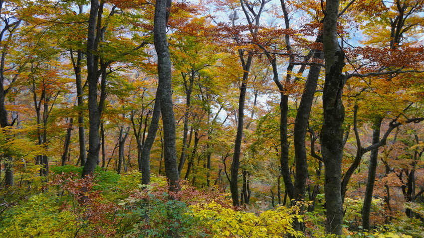 f:id:shioshiohida:20131030122225j:plain