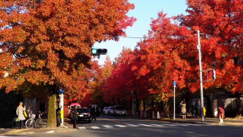 f:id:shioshiohida:20131121152750j:image