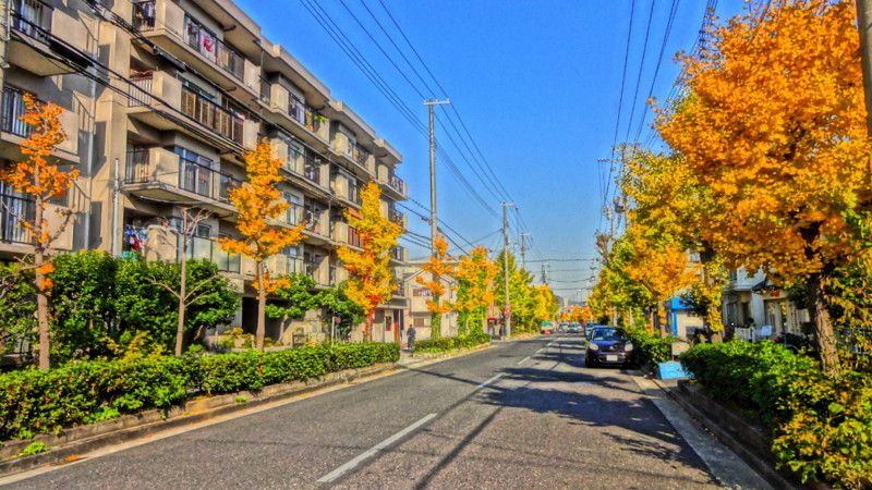 f:id:shioshiohida:20131127101547j:image