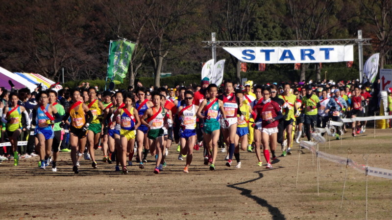 f:id:shioshiohida:20131214100001j:image f:id:shioshiohida:20131214100001j:image