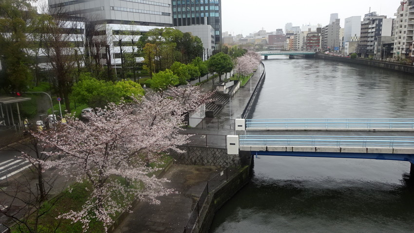 f:id:shioshiohida:20140205172631j:plain f:id:shioshiohida:20140205172631j:plain