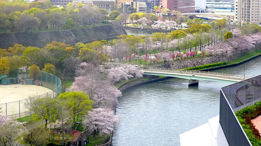 f:id:shioshiohida:20140206152526j:plain