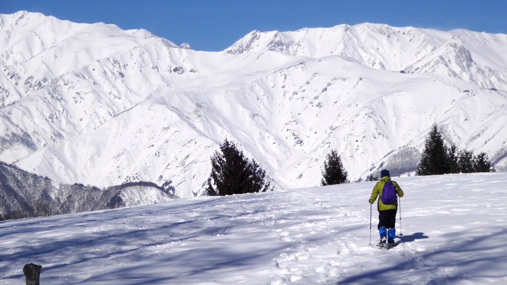 f:id:shioshiohida:20140304102100j:plain f:id:shioshiohida:20140304102100j:plain