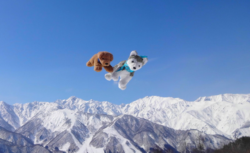 f:id:shioshiohida:20140304123813j:image f:id:shioshiohida:20140304123813j:image