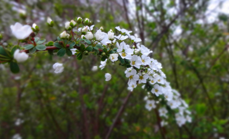 f:id:shioshiohida:20140318154429j:image f:id:shioshiohida:20140318154429j:image
