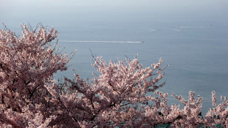 f:id:shioshiohida:20140407080951j:image f:id:shioshiohida:20140407080951j:image