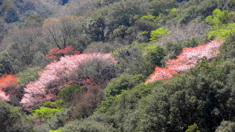 f:id:shioshiohida:20140407095824j:image f:id:shioshiohida:20140407095824j:image