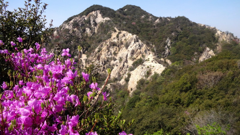 f:id:shioshiohida:20140407100417j:image f:id:shioshiohida:20140407100417j:image