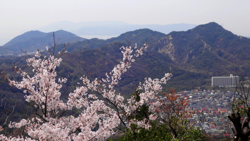 f:id:shioshiohida:20140407114706j:image f:id:shioshiohida:20140407114706j:image