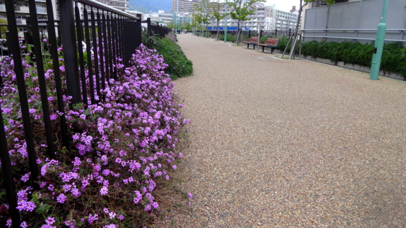 f:id:shioshiohida:20140419164023j:image f:id:shioshiohida:20140419164023j:image