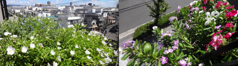 f:id:shioshiohida:20140915023249j:image f:id:shioshiohida:20140915023249j:image