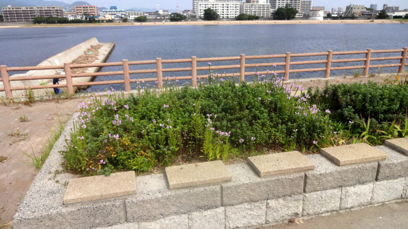 f:id:shioshiohida:20140930105453j:image f:id:shioshiohida:20140930105453j:image