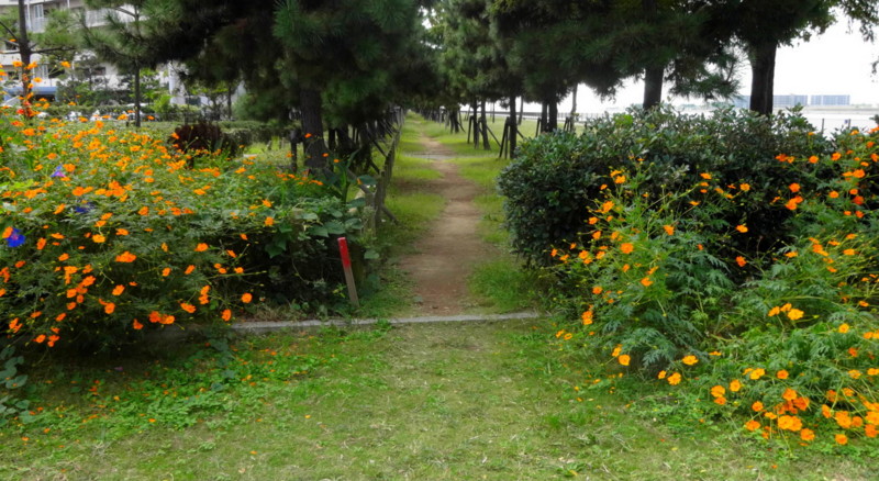f:id:shioshiohida:20140930110018j:image f:id:shioshiohida:20140930110018j:image