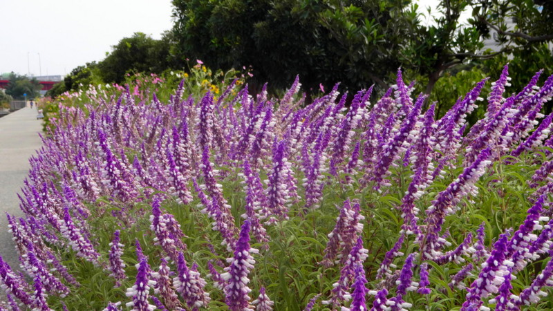 f:id:shioshiohida:20140930111723j:image f:id:shioshiohida:20140930111723j:image