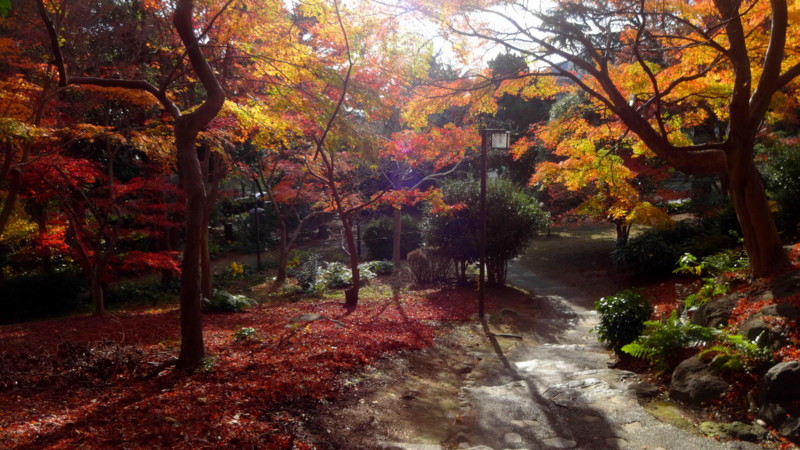 f:id:shioshiohida:20141202144008j:image f:id:shioshiohida:20141202144008j:image