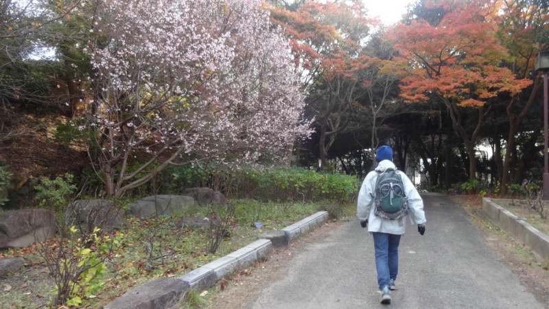 f:id:shioshiohida:20141202145018j:image f:id:shioshiohida:20141202145018j:image
