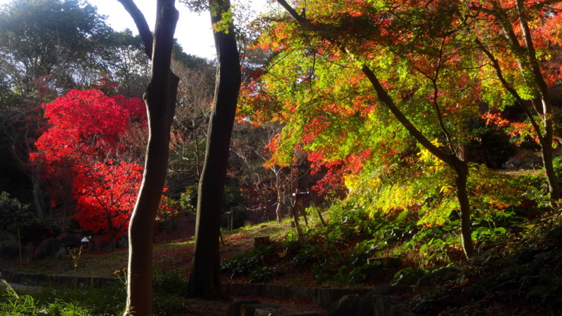 f:id:shioshiohida:20141202150200j:image f:id:shioshiohida:20141202150200j:image