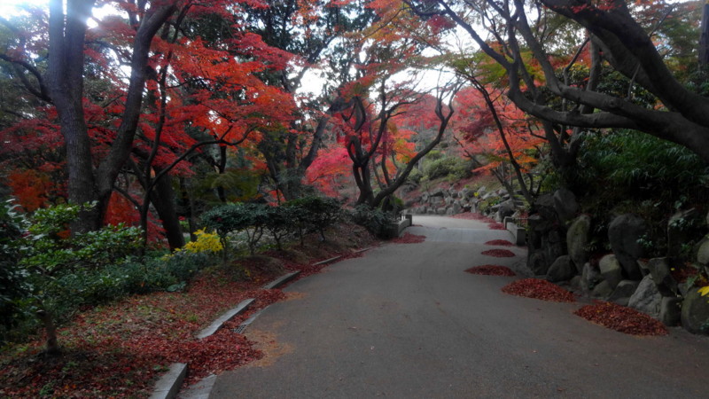 f:id:shioshiohida:20141202150624j:image f:id:shioshiohida:20141202150624j:image