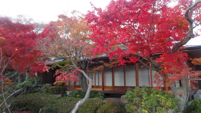 f:id:shioshiohida:20141202153658j:image f:id:shioshiohida:20141202153658j:image