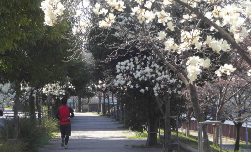 f:id:shioshiohida:20150327131929j:image f:id:shioshiohida:20150327131929j:image