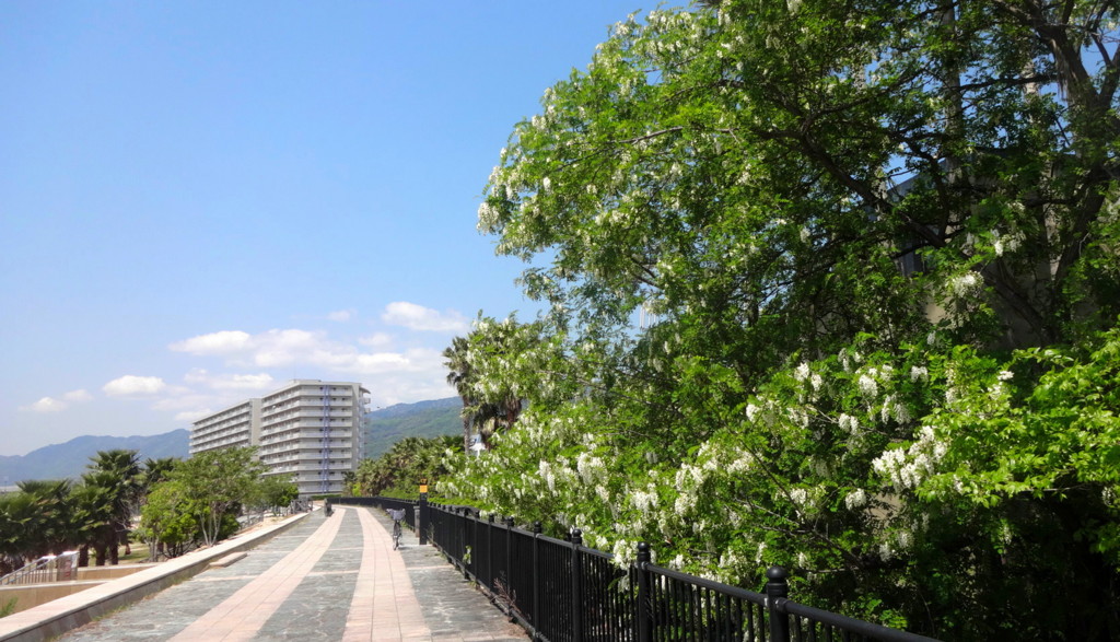 f:id:shioshiohida:20150430111103j:plain f:id:shioshiohida:20150430111103j:plain