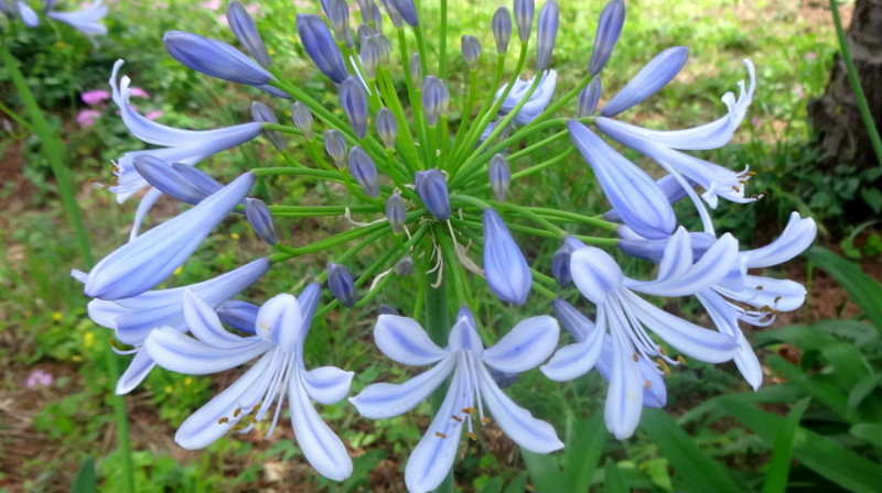 f:id:shioshiohida:20150620112510j:image f:id:shioshiohida:20150620112510j:image