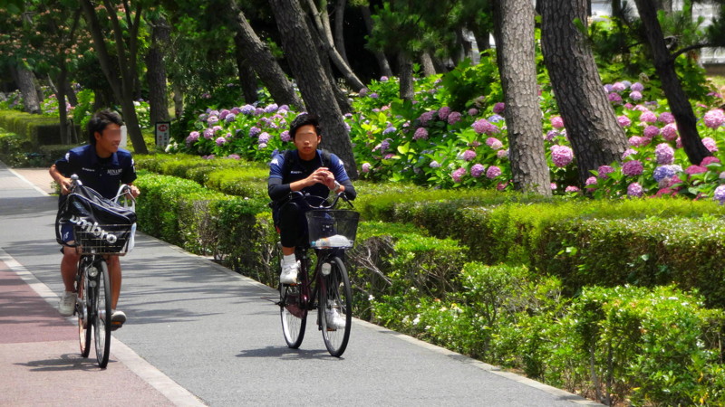 f:id:shioshiohida:20150620113637j:image f:id:shioshiohida:20150620113637j:image
