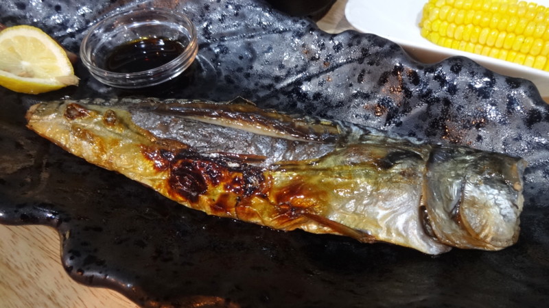 f:id:shioshiohida:20150826202914j:image:w950