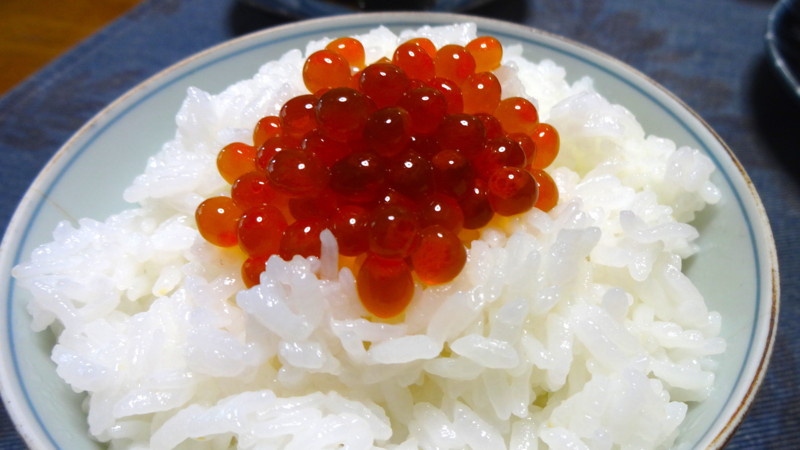 f:id:shioshiohida:20150924121722j:image