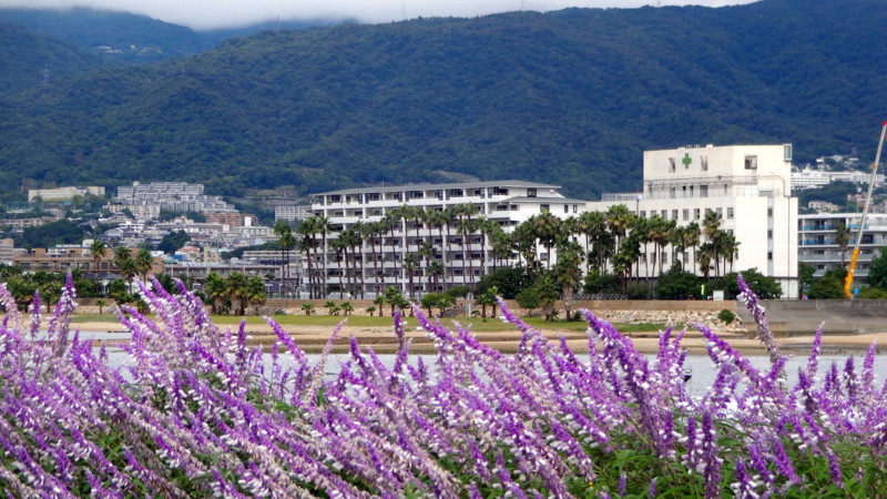 f:id:shioshiohida:20150925102610j:image