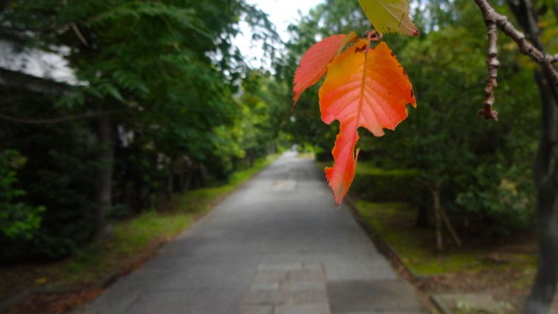 f:id:shioshiohida:20150926111209j:image f:id:shioshiohida:20150926111209j:image