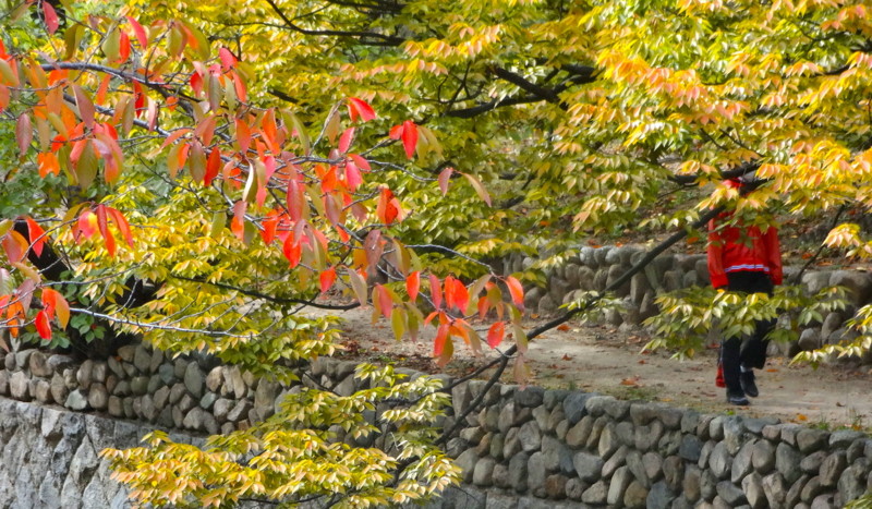 f:id:shioshiohida:20151015095550j:image