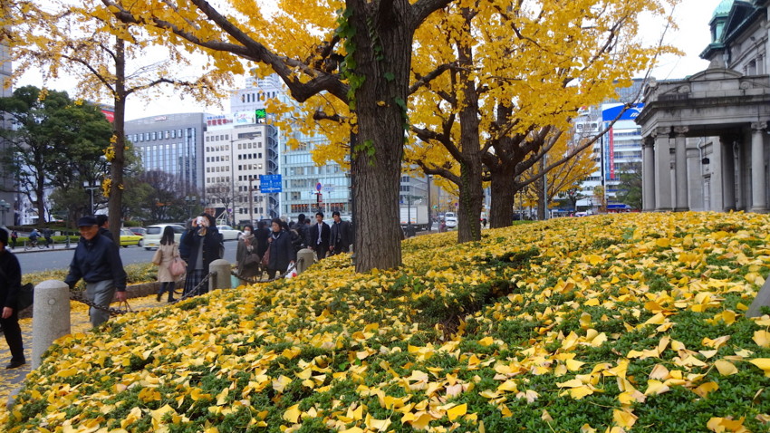 f:id:shioshiohida:20151216145417j:image f:id:shioshiohida:20151216145417j:image
