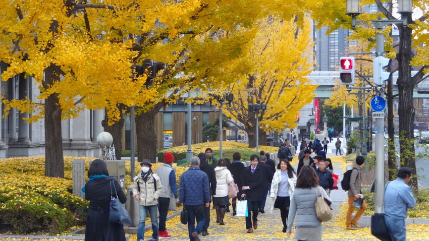 f:id:shioshiohida:20151216145737j:image f:id:shioshiohida:20151216145737j:image