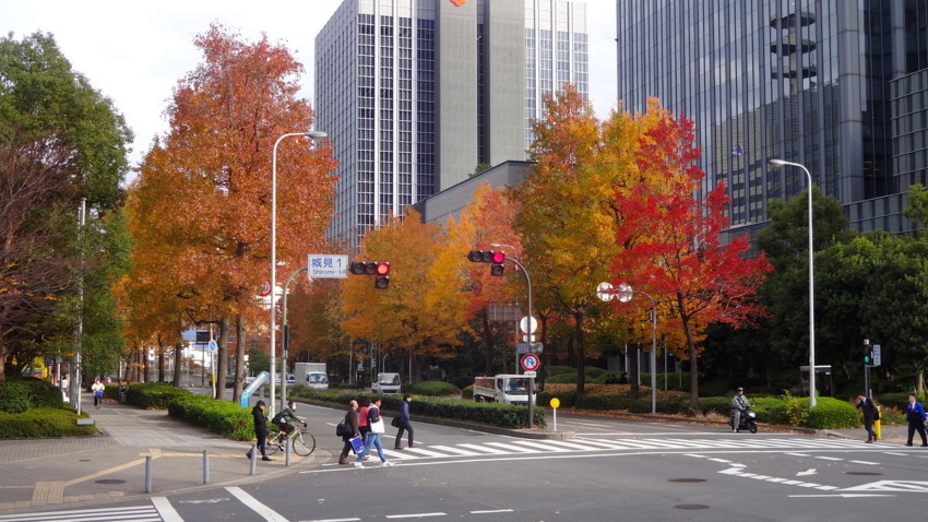 f:id:shioshiohida:20151218143246j:image