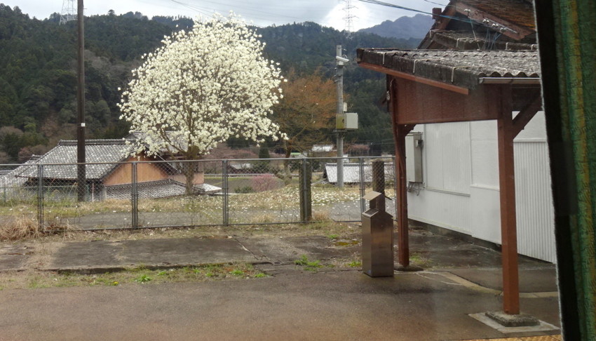 20160402105031
