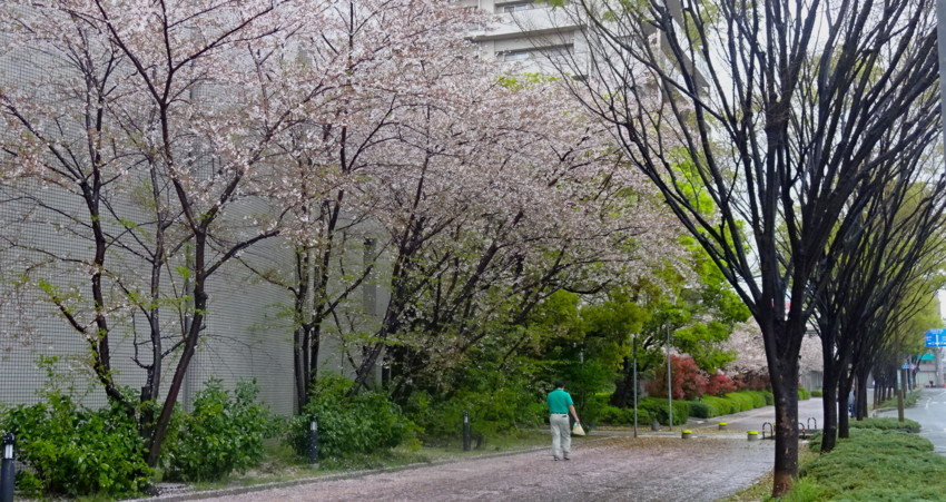 f:id:shioshiohida:20160407121351j:plain f:id:shioshiohida:20160407121351j:plain