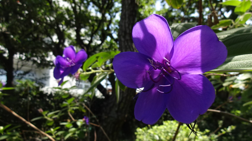 f:id:shioshiohida:20160728103805j:plain f:id:shioshiohida:20160728103805j:plain