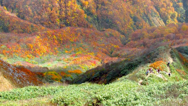 f:id:shioshiohida:20161026085300j:plain f:id:shioshiohida:20161026085300j:plain