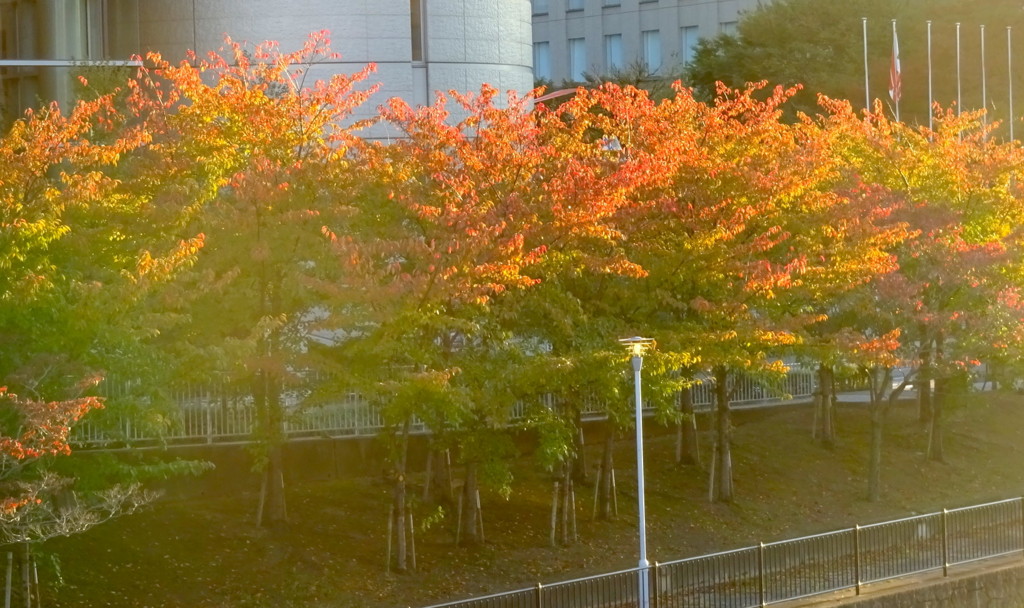 f:id:shioshiohida:20161102162324j:plain f:id:shioshiohida:20161102162324j:plain