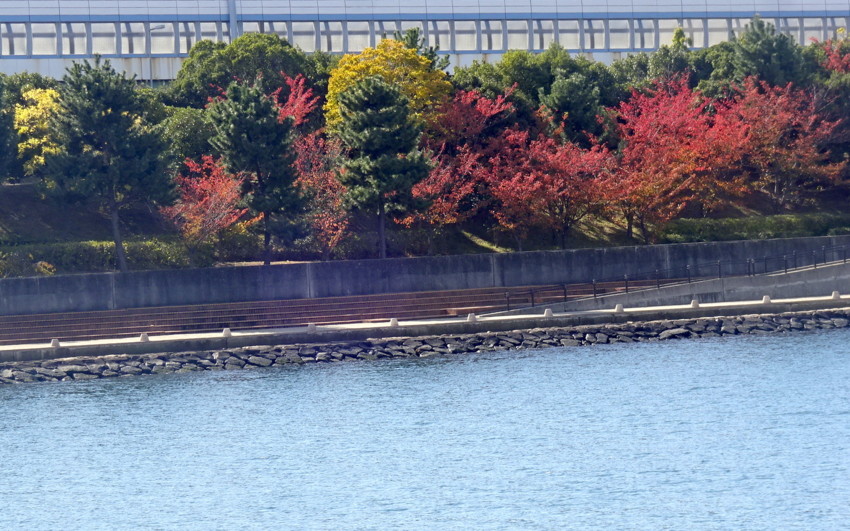 f:id:shioshiohida:20161109103902j:plain