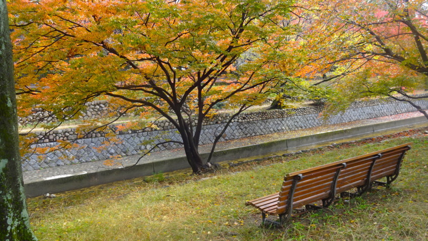 f:id:shioshiohida:20161115115538j:plain