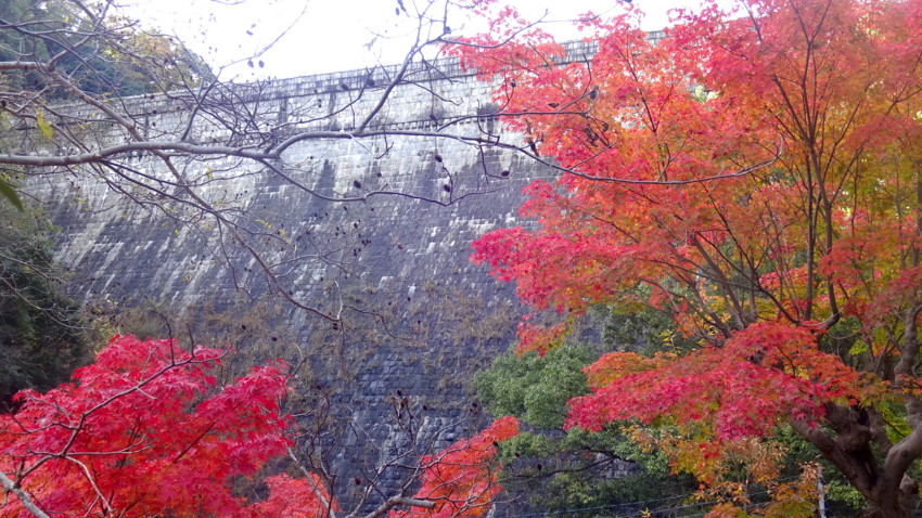 f:id:shioshiohida:20161116132007j:plain f:id:shioshiohida:20161116132007j:plain