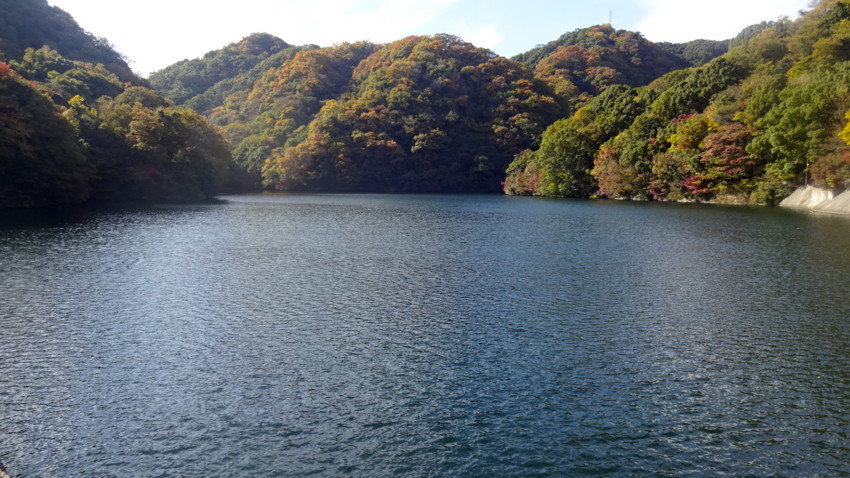 f:id:shioshiohida:20161116132457j:plain f:id:shioshiohida:20161116132457j:plain